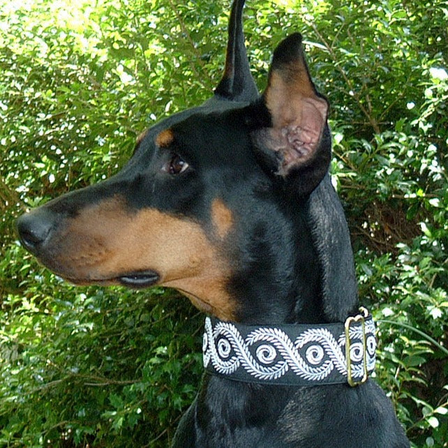 Caesar Iridescent 2 Inch Masterpiece Dog Collar