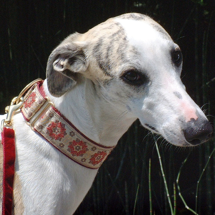 Majestic 1.5" Masterpiece Dog Collar