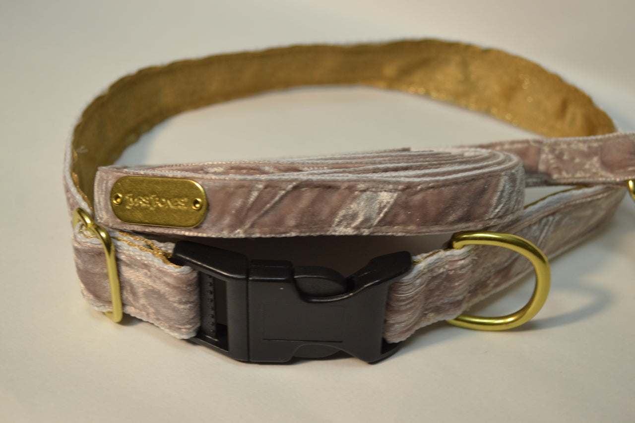 Champagne Crushed Velvet Dog Collar