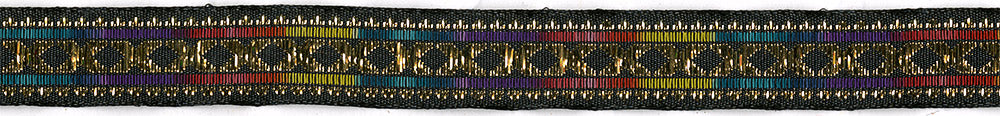 Rainbow Dos Equis Dog Collar