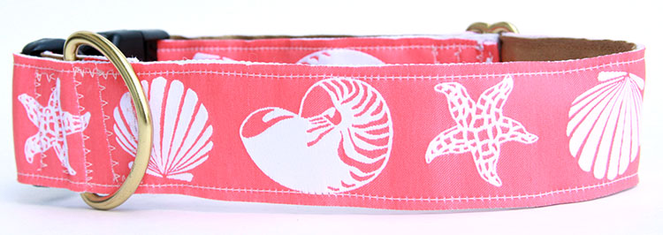 Seashells Dog Collar