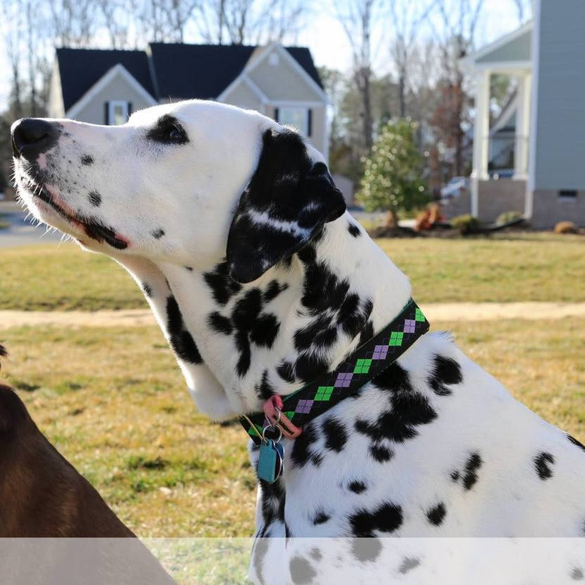 Argyle Pink 1" Dog Collar