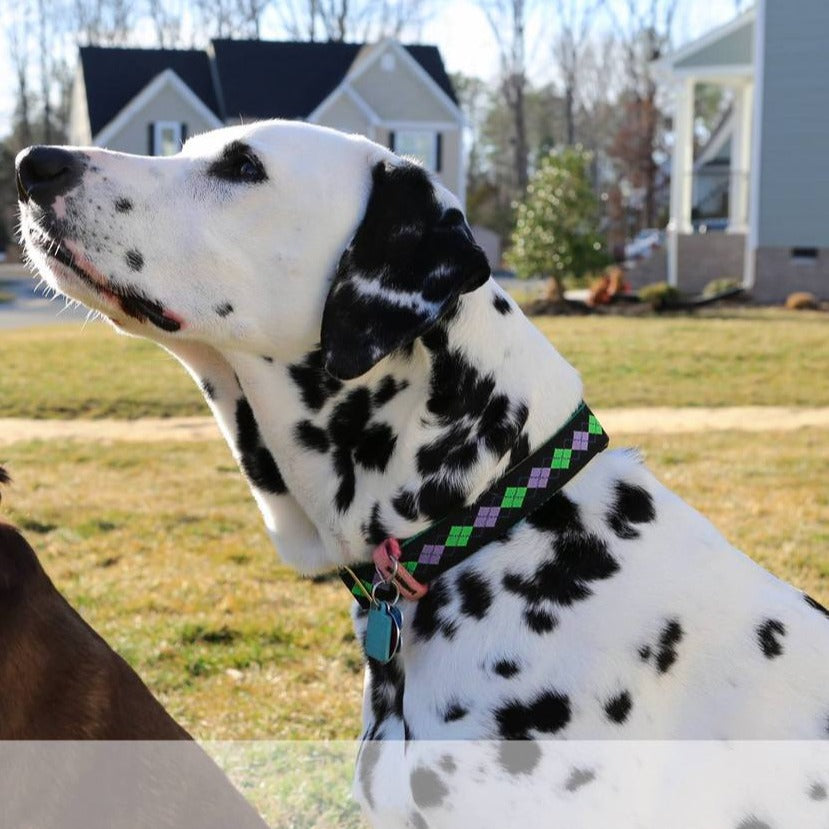 Argyle Purple 1" Dog Collar