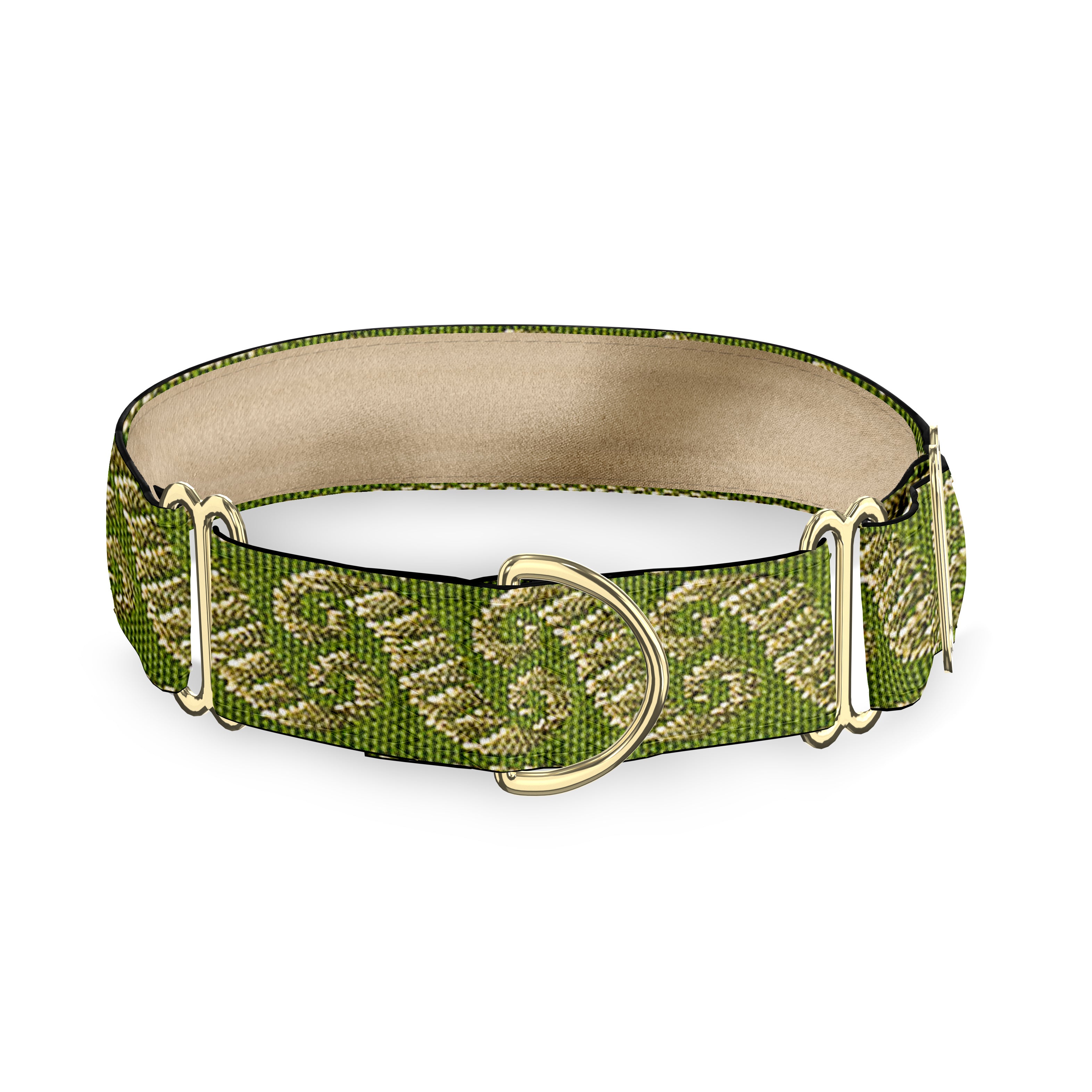 Cosmopolitan Sage Dog Collar