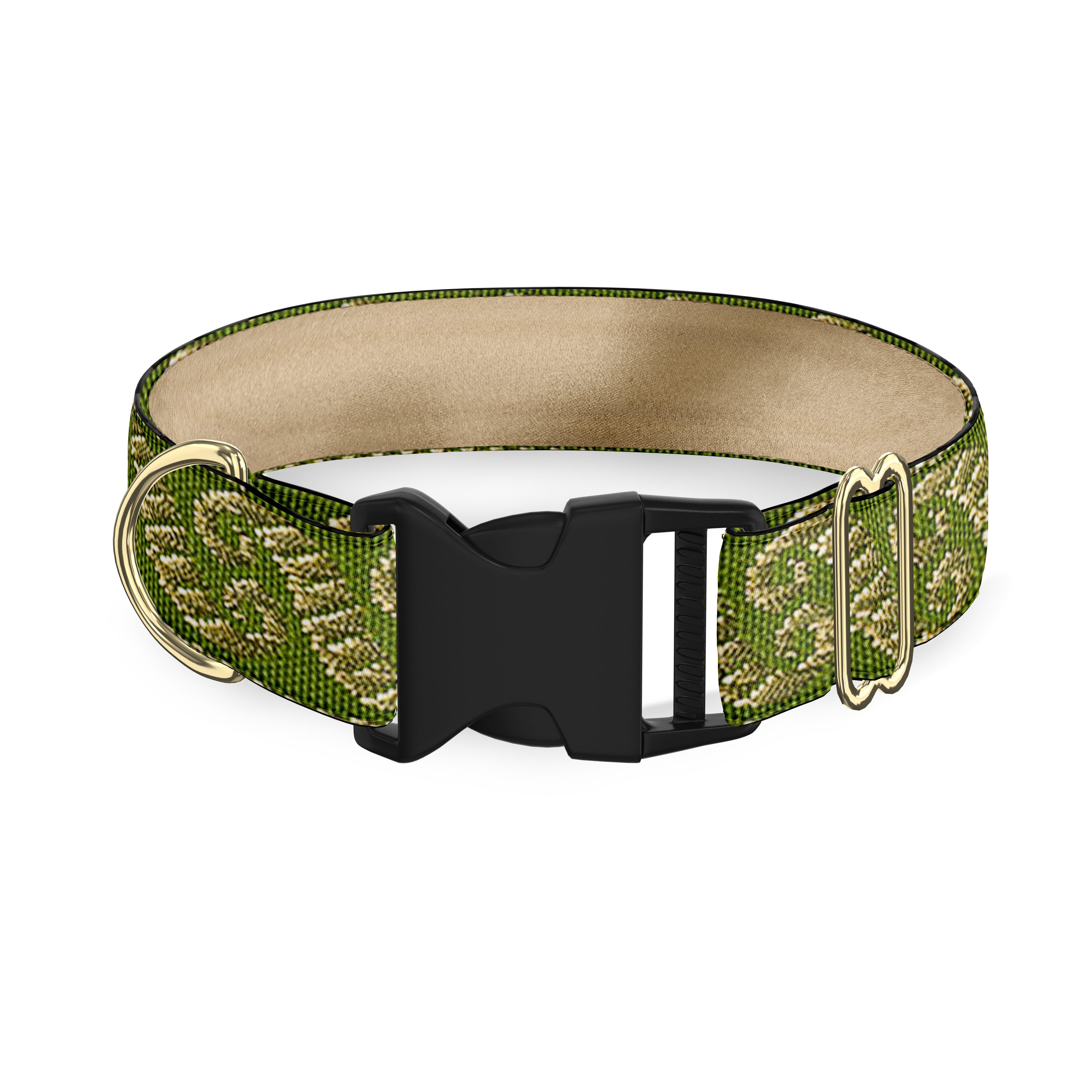 Cosmopolitan Sage Dog Collar