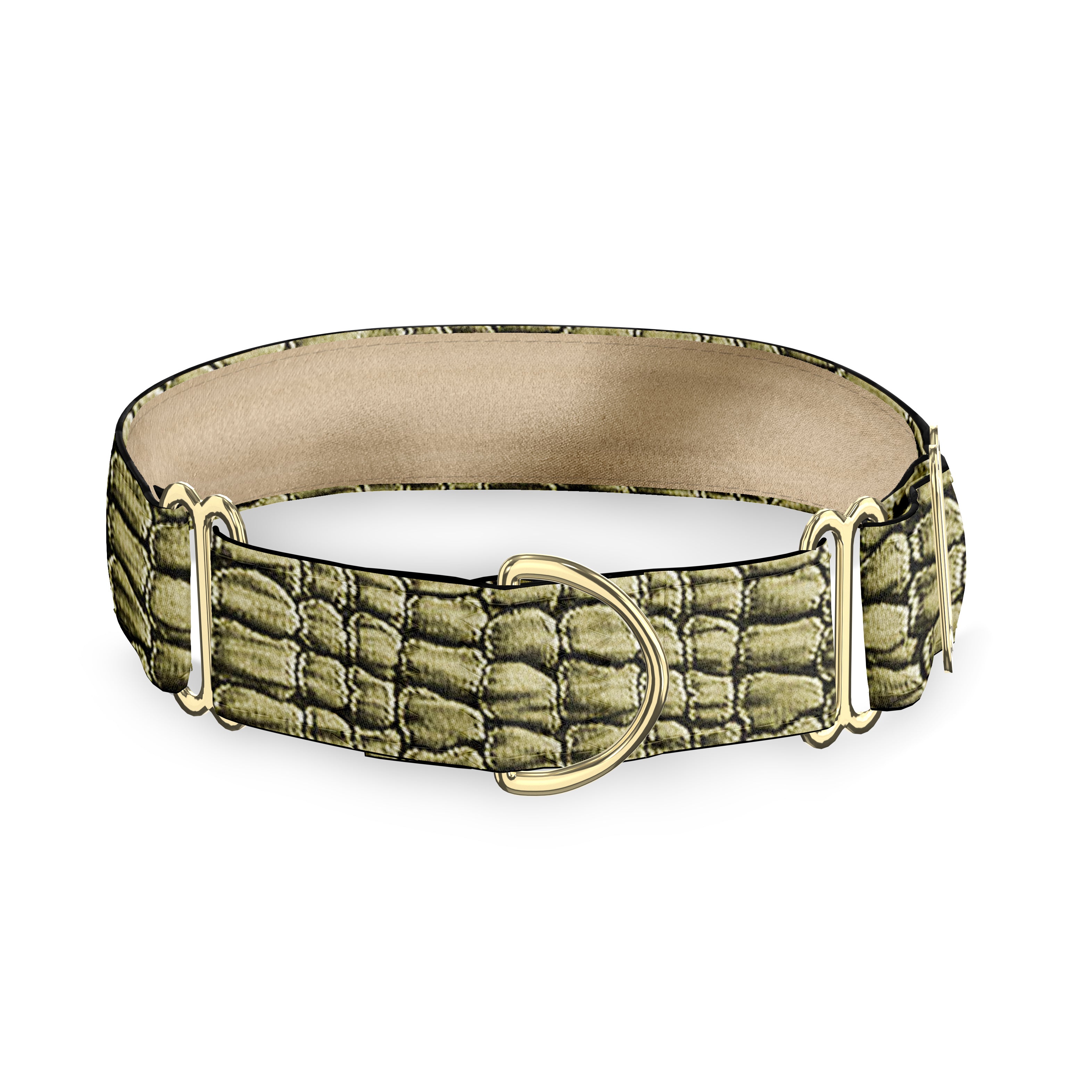 Croc Sage 1.5" Dog-Collar