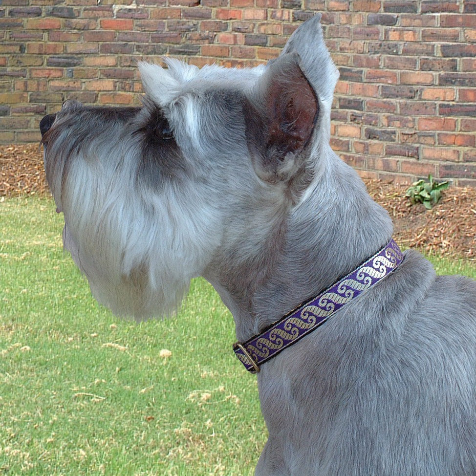 Cosmopolitan Purple Dog Collar