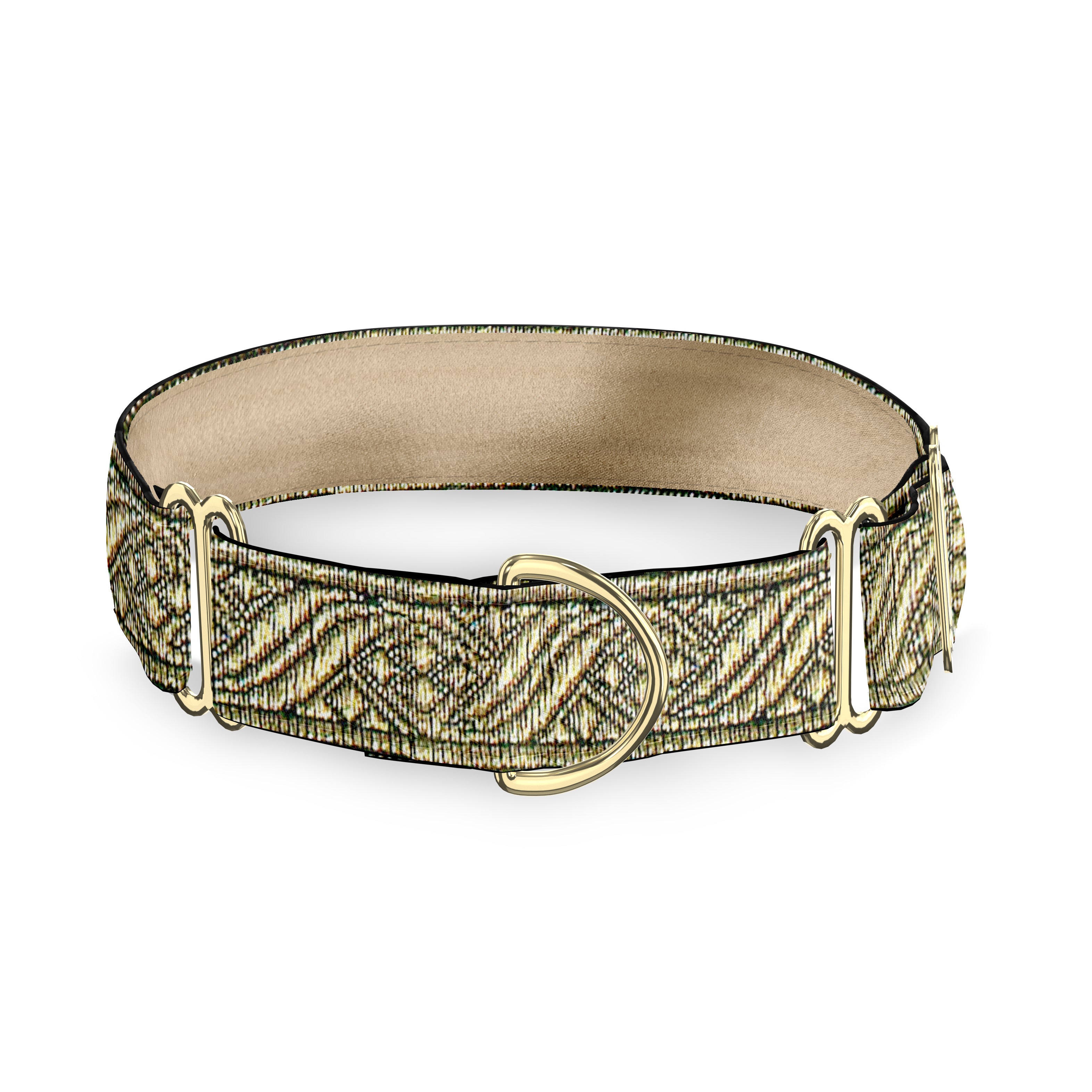 Golden  1" Dog Collar