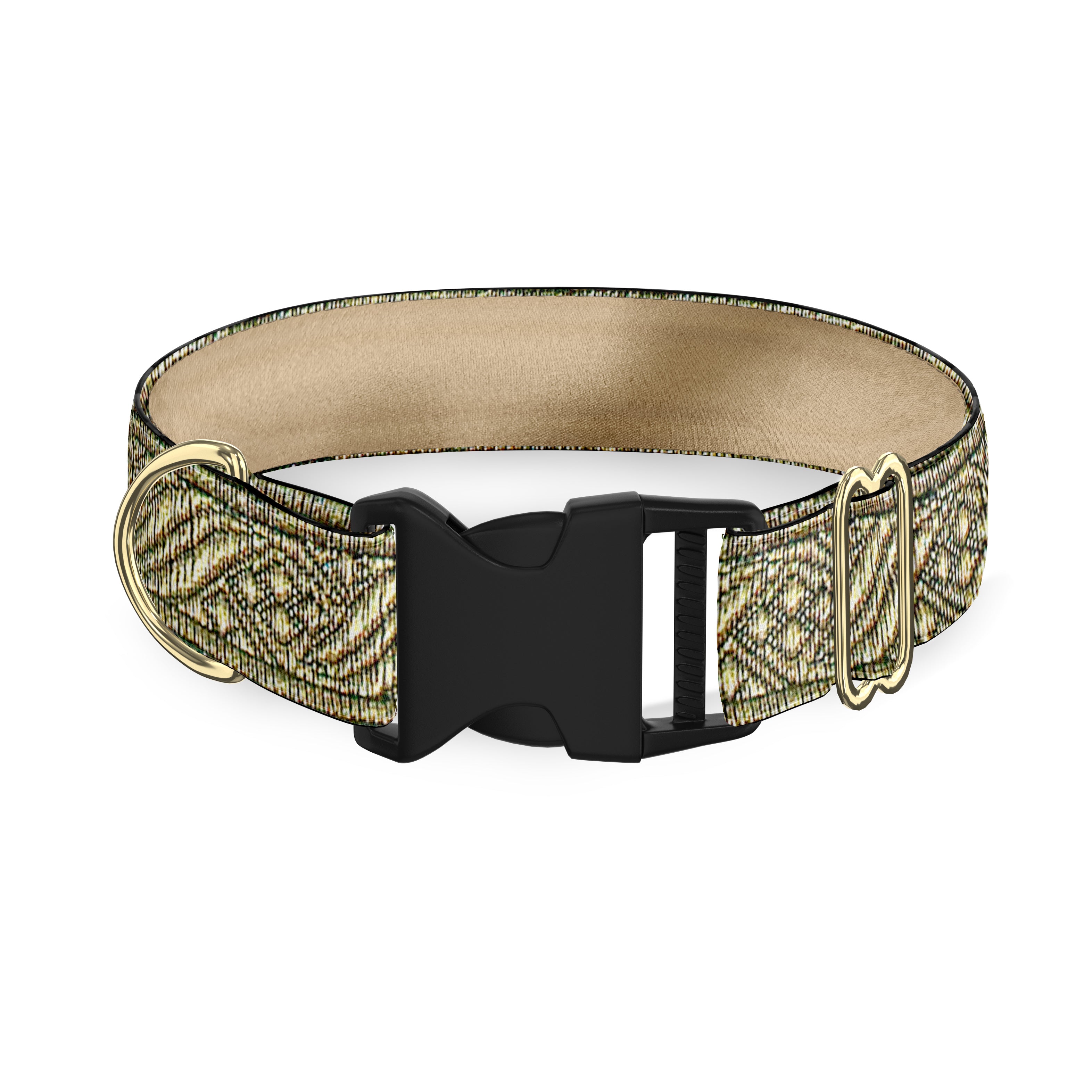 Golden  1" Dog Collar