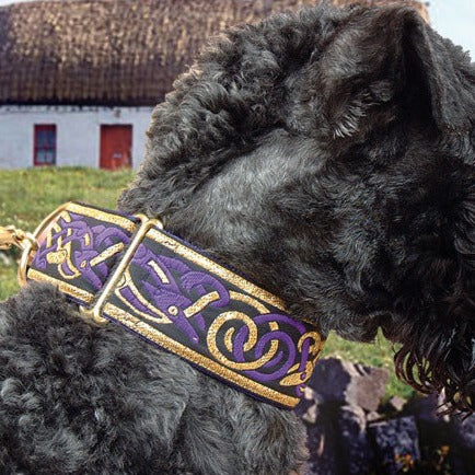 Kells Hounds Purple and Gold 2 Inch Masterpiece Dog Collar
