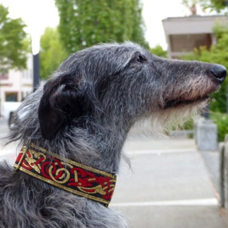 Kells Hounds Red and Gold 2 Inch Masterpiece Dog Collar