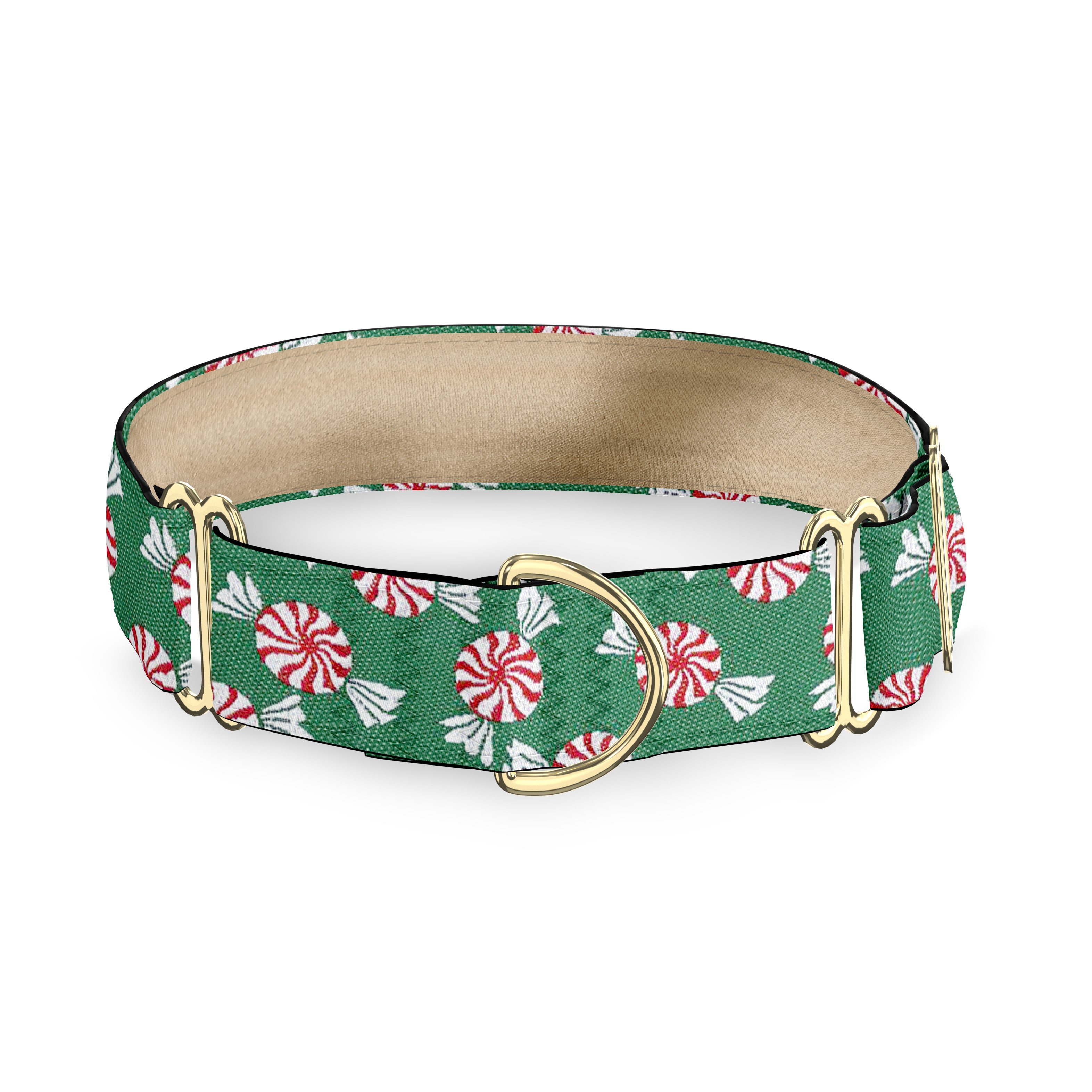 Merry Mint Green 1 Inch Dog Collar