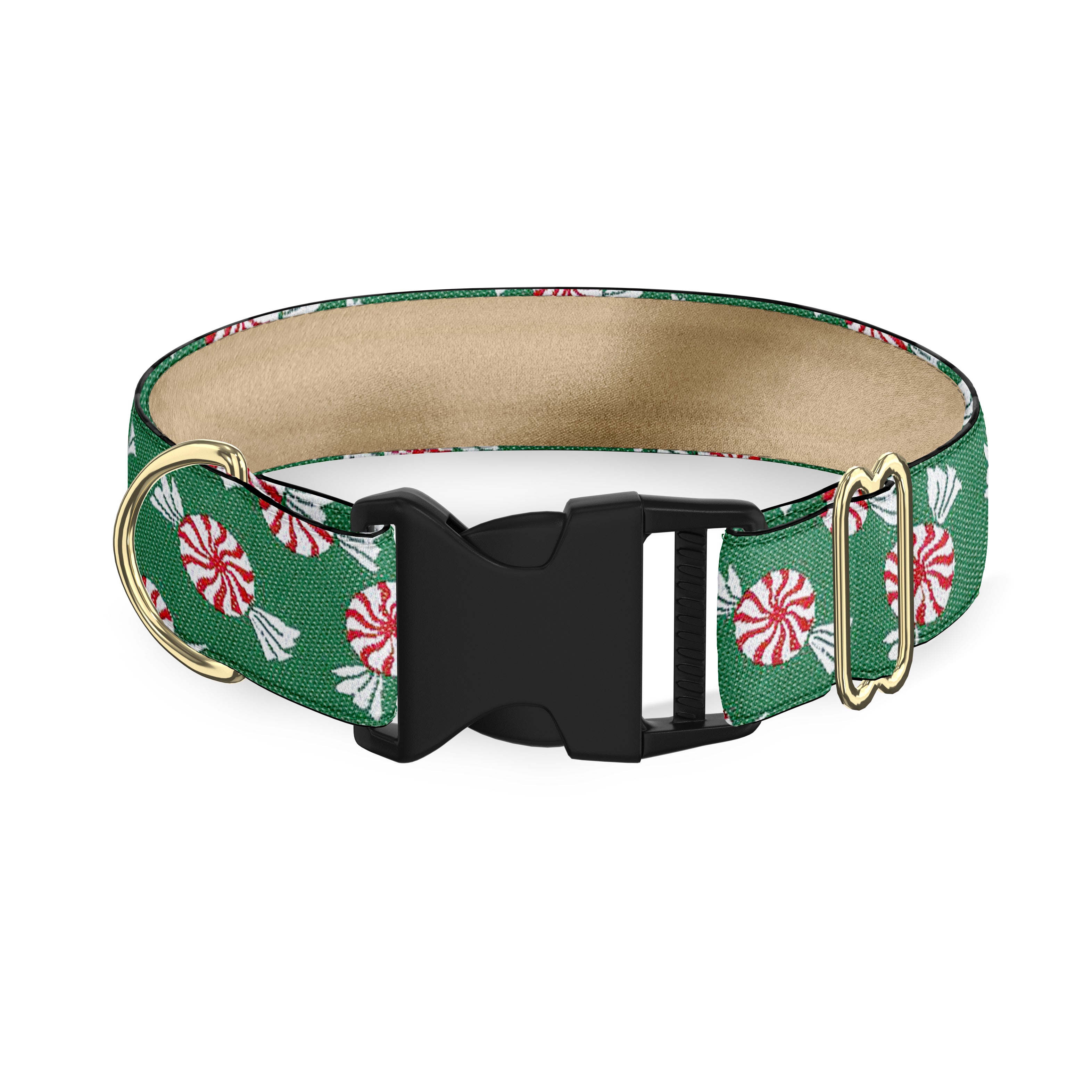 Merry Mint Green 1 Inch Dog Collar