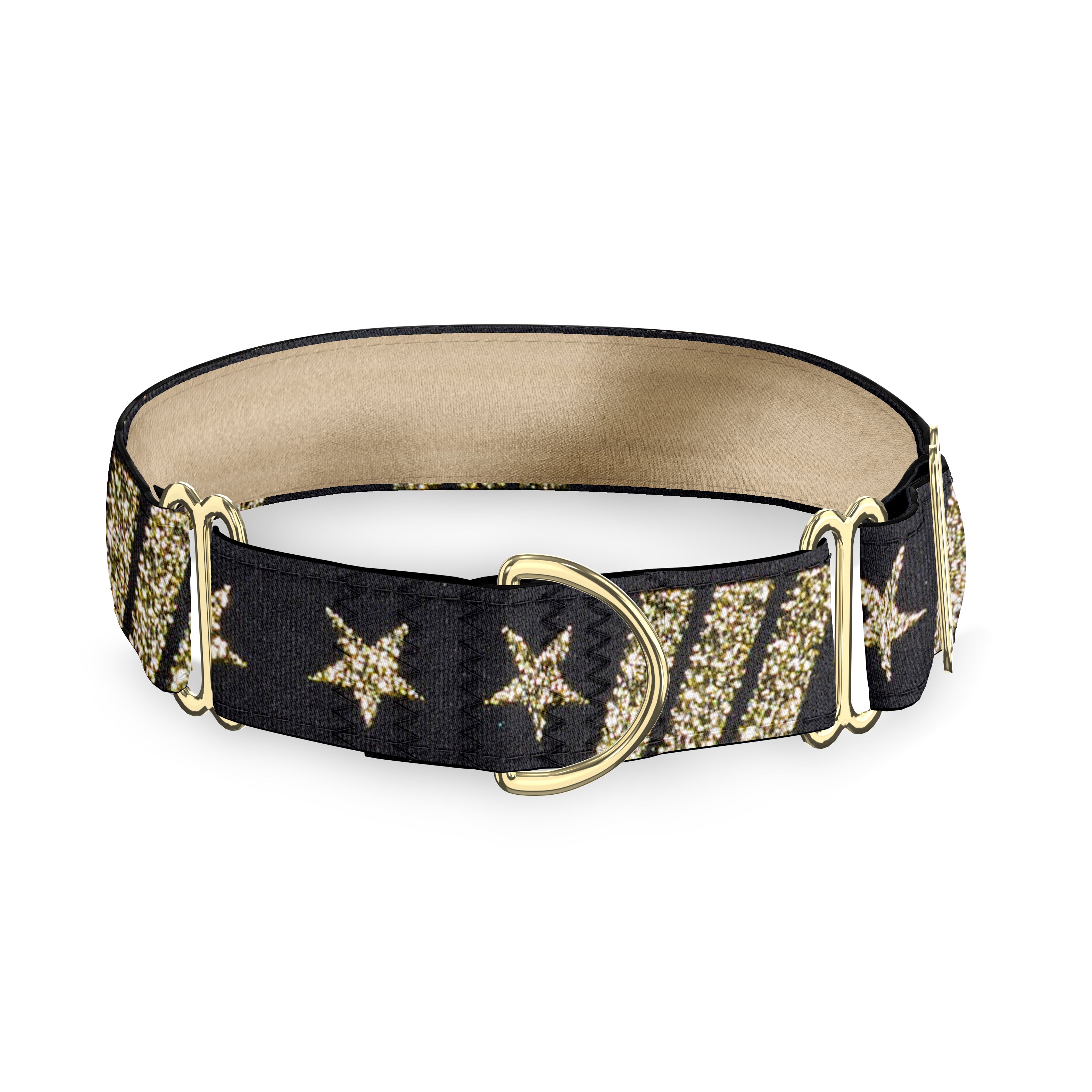 Officer Dog Collar