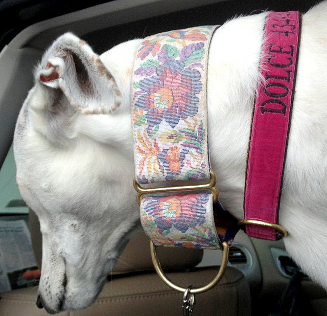 Hot Pink Velvet Dog Collar