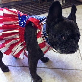 American Flag Dog Collar