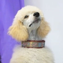 Camelot Garnet Masterpiece 1.5 Inch Dog Collar