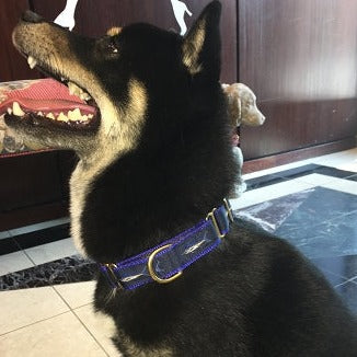 Darlin' Marlin Dog Collar