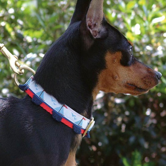 Sailboats Dog Collar