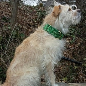 Riverdance Green Dog Collar