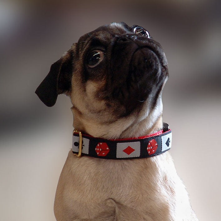 High Roller Dog Collar