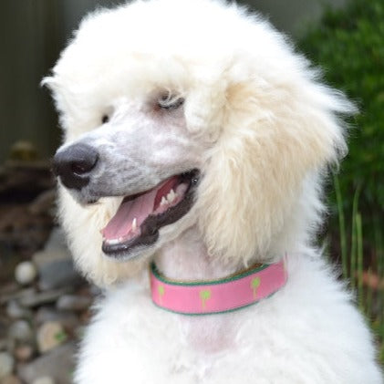 Lilly Palm Dog Collar