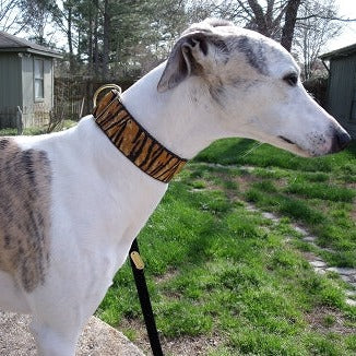 Tiger Dog Collar
