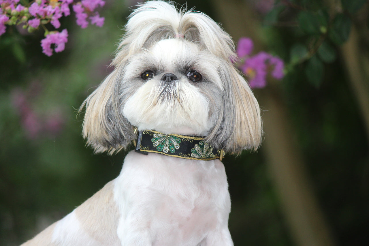 Oriental Fans Black 1 inch Collar