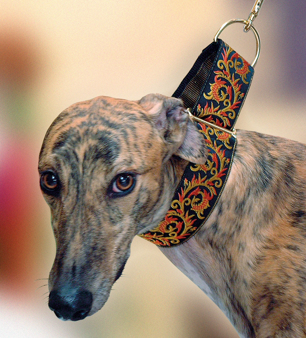 Dragon Fire 2 inch Masterpiece Collar