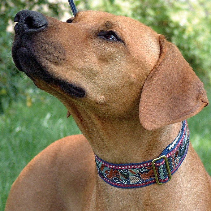 Camelot Navy Masterpiece 1.5 Inch Dog Collar