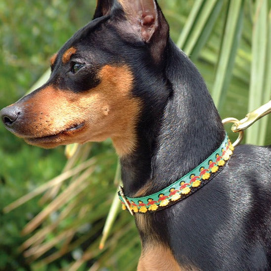 Hula Girls 5/8" Dog Collar