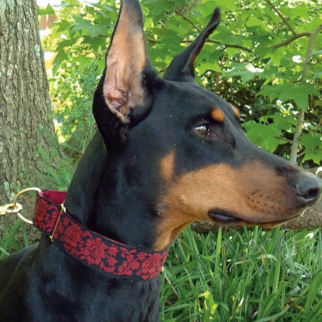 Victoria Garnet 1.5" Dog Collar