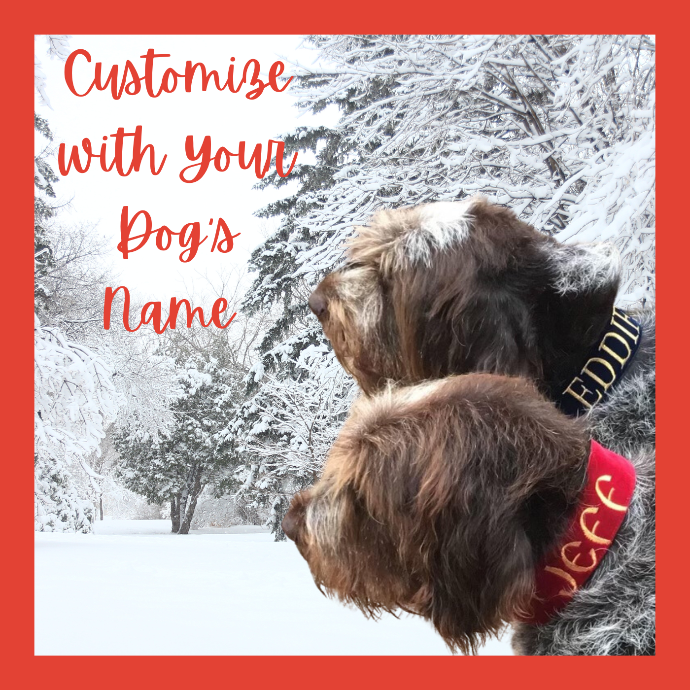 Custom Name ID Dog Collar Personalized Velvet Dog Tag Collar 