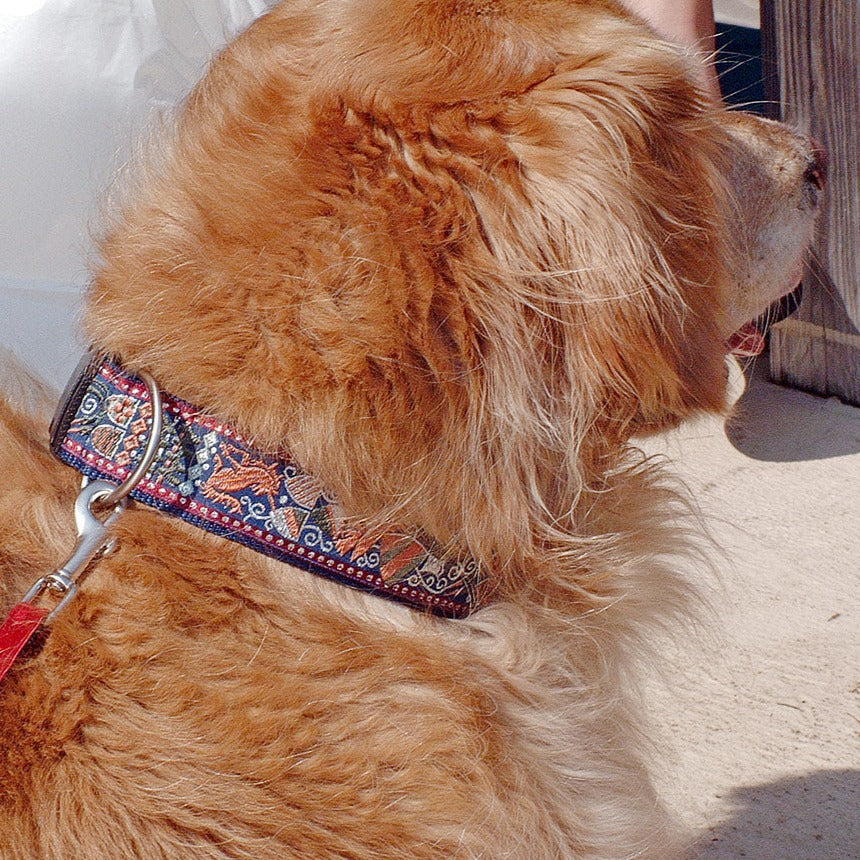Camelot Navy Masterpiece 1.5 Inch Dog Collar