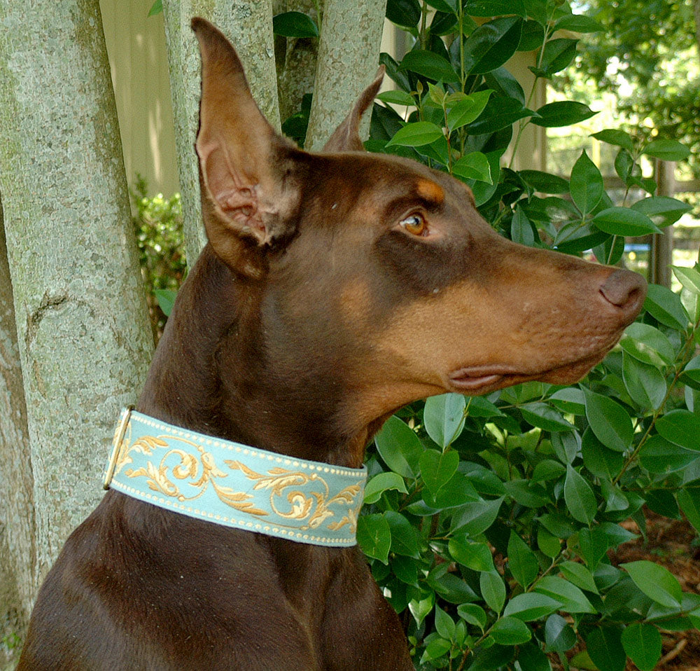 Ganador Aqua Blue 2 Inch Masterpiece Dog Collar