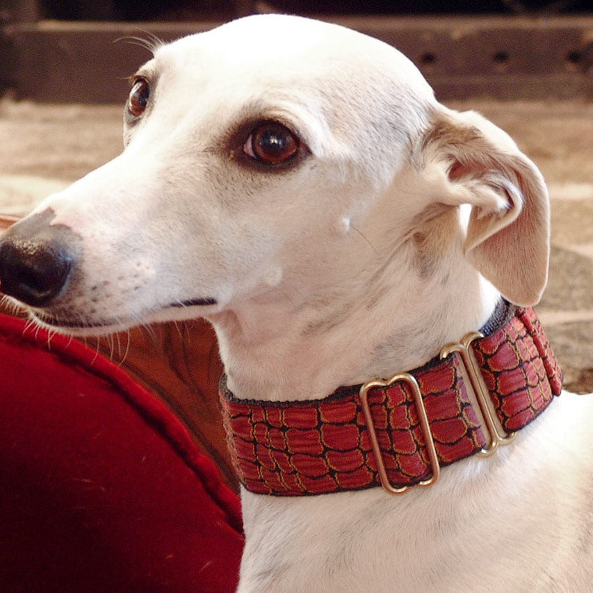 Croc Garnet 1.5" Dog Collar
