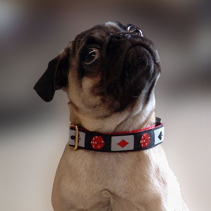 Coastal Pet Products Styles Adjustable Dog Collar Medium Red Bones
