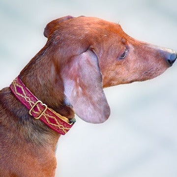 Versailles Garnet Dog Collar